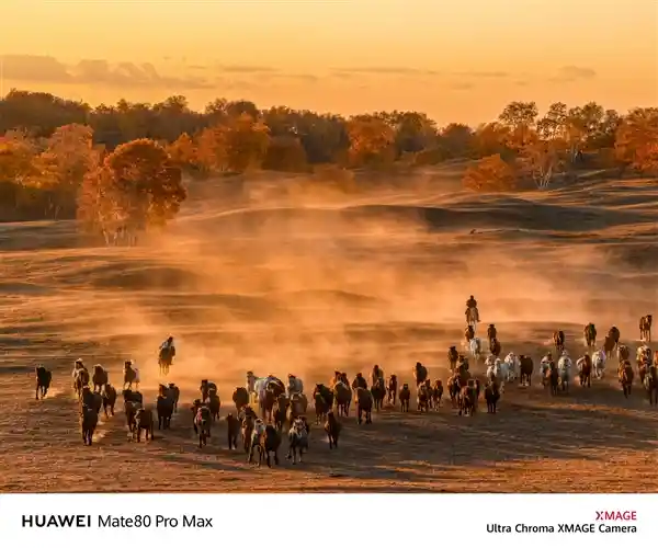 何刚曝光华为Mate 80影像实拍：红枫色彩惊艳全场