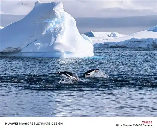 何刚曝光华为Mate 80影像实拍：红枫色彩惊艳全场