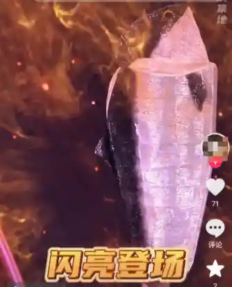 挪威环球小姐银粉战衣化身活体三文鱼走红网络