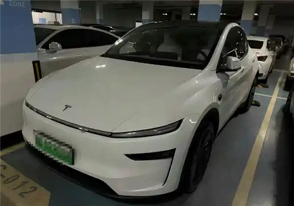 陈震：特斯拉FSD期货梦，一年仍难兑现