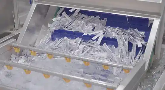 科学功能粮引领新趋势，宠物多元需求催生产业新蓝海